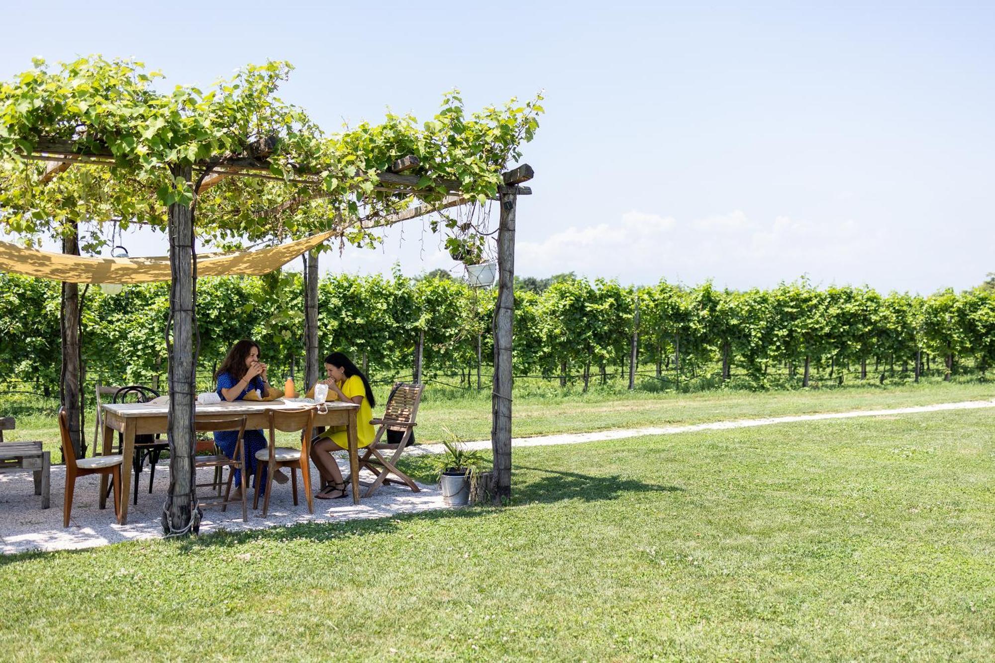 Agriturismo Da Zeffi Villa Spresiano Esterno foto